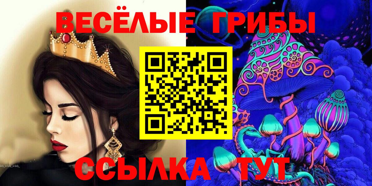 Павловский Посад  Псилоцибиновые грибы прущие грибы  Вход с VPN 